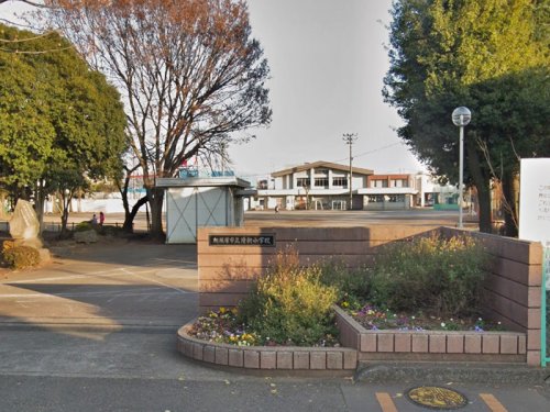 周辺 - 【小学校】相模原市立清新小学校まで445m