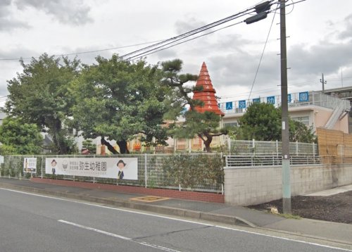 周辺 - 【幼稚園】弥生幼稚園まで801m