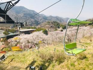 周辺 - 【遊園地】さがみ湖リゾート プレジャーフォレストまで1160m