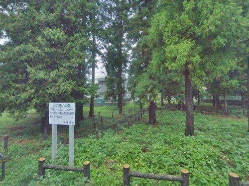 周辺 - 【公園】東林間1丁目ふれあいの森まで99m