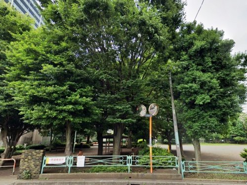 周辺 - 【公園】相模大野七丁目公園まで445m